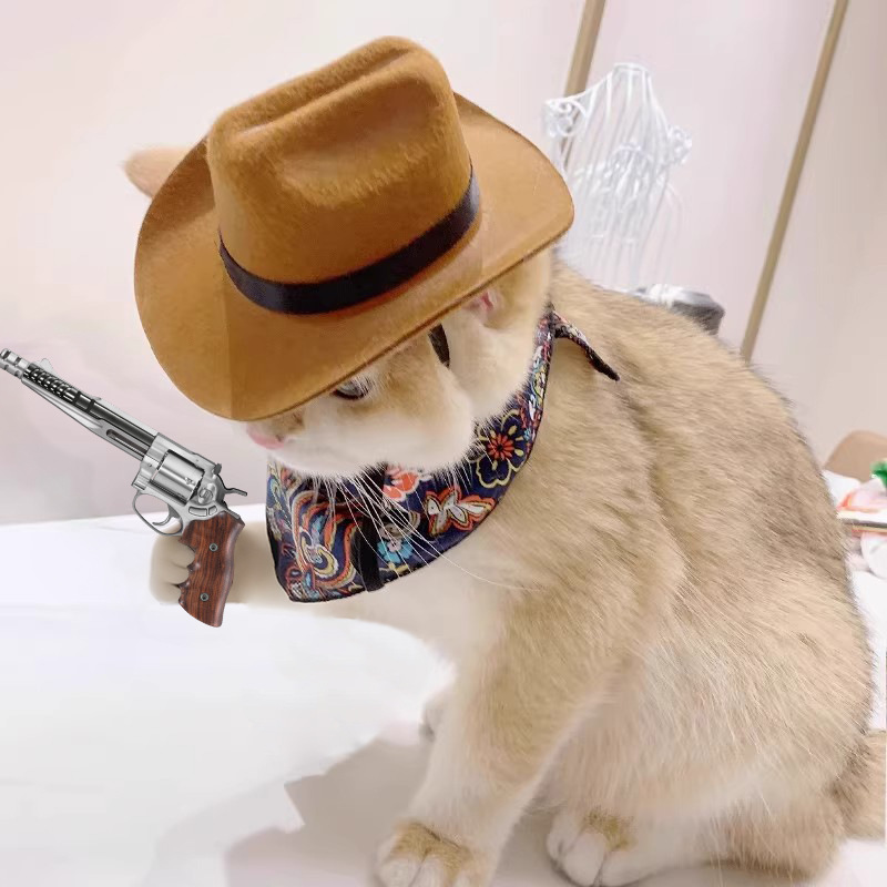 Cat Cowboy Hat Pet Head Acce - Cowboy Hat Straw ulasan dan harga